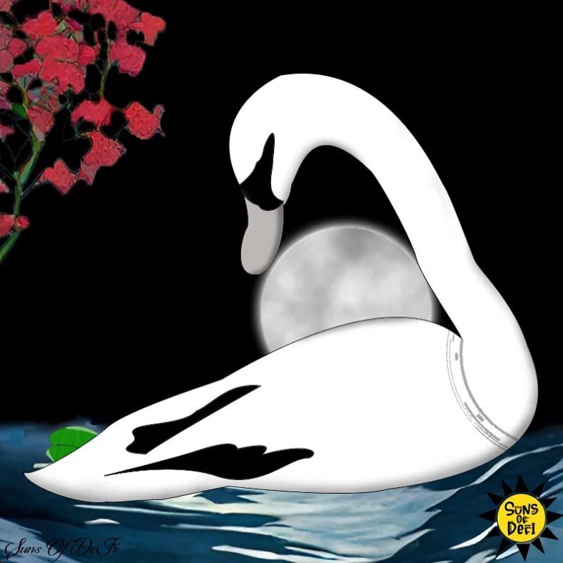 sumlindrew0o's tweet image. @MekaSwans