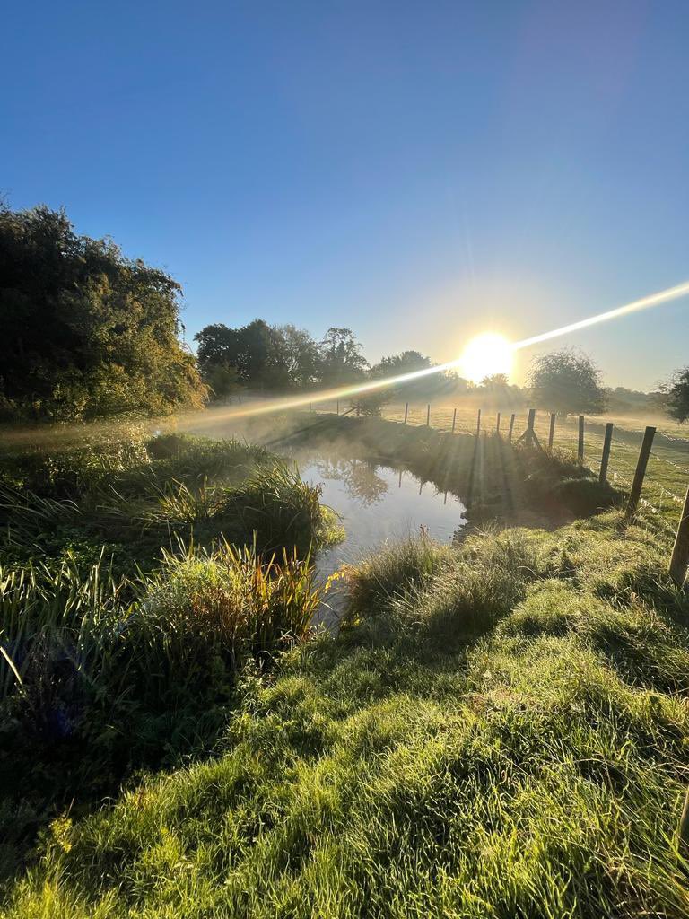 RiverHiz's tweet photo. On a rainy day like today let’s marvel at these beautiful morning shots of the #RiverHiz at Ickleford Common, taken by one of our brilliant volunteers. #chalkstream https://t.co/SIT0vYi3zw