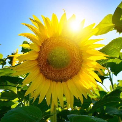 HalandiNorman's tweet photo. #NewProfilePic https://t.co/mMQmxvJsvO