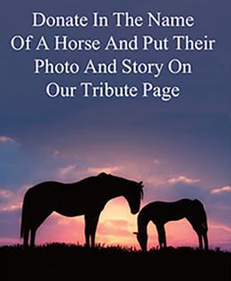 Grayson_JC's tweet photo. Horses strive to be our champions, we must always be theirs.
You can provide a donation, arrange a monthly donation, arrange a tribute gift, buy chocolate or go out to dinner. They all support equine research. https://t.co/qT5Gh2ZwdF