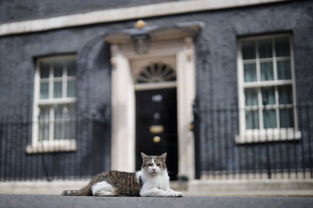 Might as well have the Downing street cat as PM. Seems to be the only one showing consistency. #LizTrussPM #UKParliament #GeneralElection2022 #larrythecat #ukpolitics