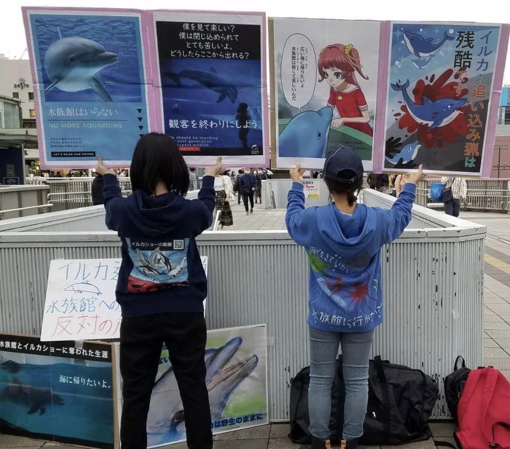 津田沼駅で活動。
千葉市に新しく水族館が作られる計画がなくなるように🙏🥺
#津田沼駅
#千葉市
#水族館
#家族でお出かけ
#小学校遠足