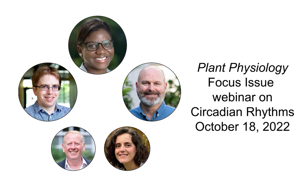 We've posted the recording of the second webinar on Circadian Rhythms celebrating the October 2022 Focus Issue. Enjoy! James Locke, Dawn Nagel @nagellab2, and Todd Michael. plantae.org/plant-physiolo…