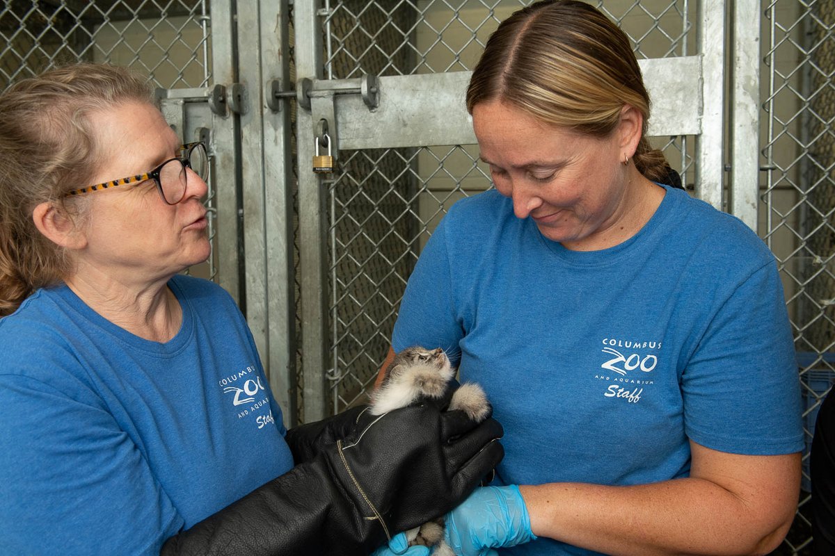 Happy National Veterinary Technicians Week! We would like to celebrate these passionate, dedicated, and skilled technician staff that help to keep the clinical and administrative aspects of the Animal Health Center running smoothly. Thank you, Annie, Tessa, Avery, and Dan!