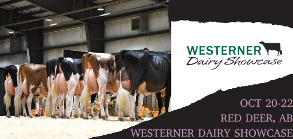 Cowsmo is catching all the action at the 2022 Westerner Dairy Showcase in Red Deer, AB! - mailchi.mp/fbe55e499bb3/n…