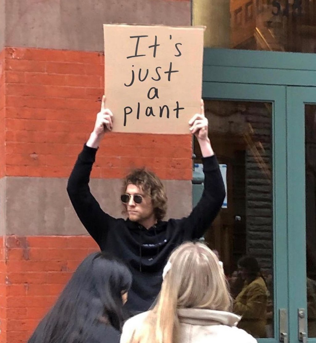 In case anyone forgot.. 🌿
Photo via <a href="/cannastyle/">kevin</a>

#maryandmain #health #maryland #mddispensary  #naturalmedicine #humor #meme #blackowned #plantmedicine #chronicpain #painrelief