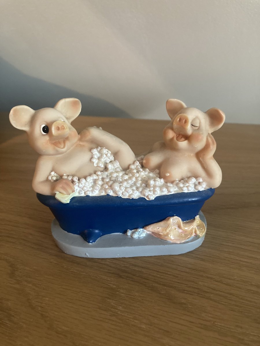 Lewis__Anderson's tweet photo. When I was 7 my Granny took me to the shop to get my Mam a birthday present. She said absolutely no way was I allowed to get her this and I had a massive tantrum. I won the argument and I stand by my choice https://t.co/qfI2gx7KYY