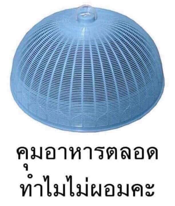 ข้าวแจ่มหลี tweet media