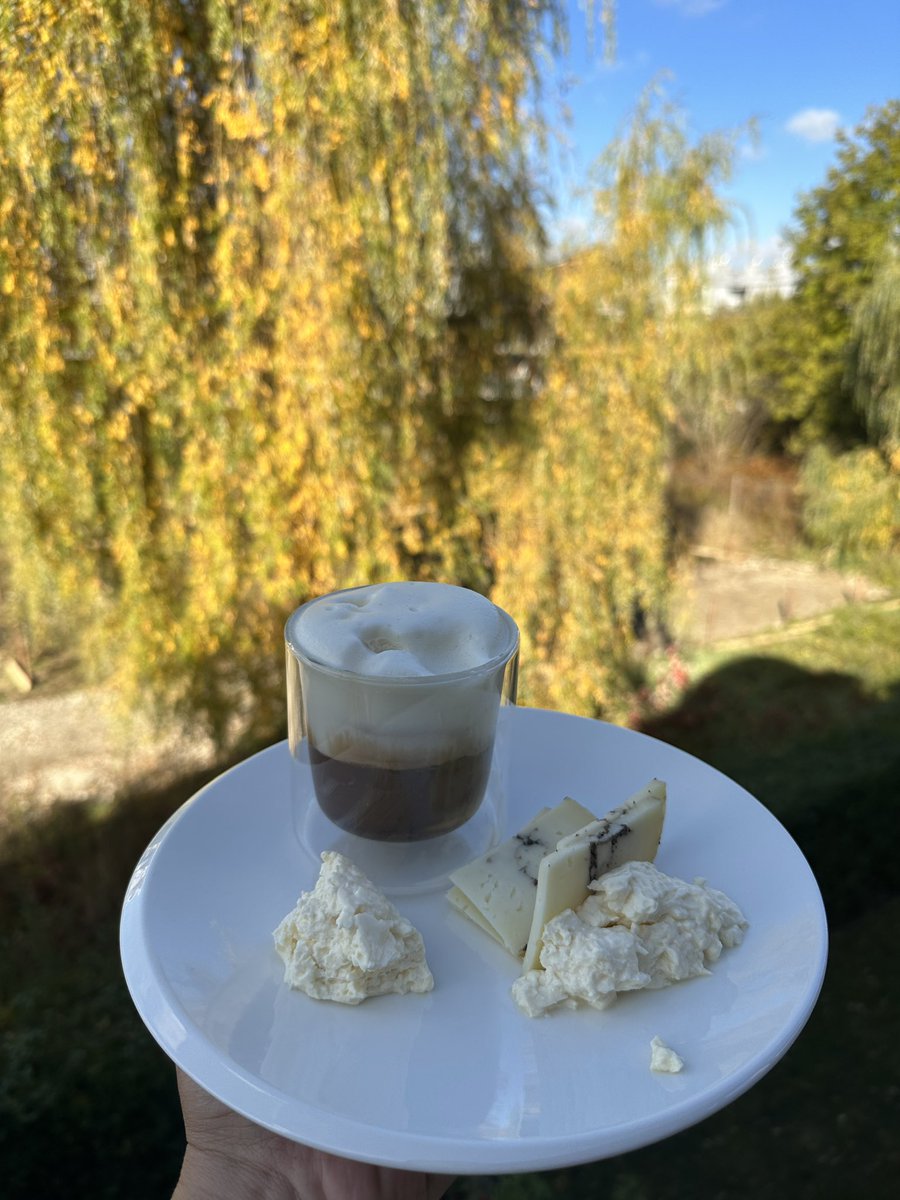 Cool Cat tweet media