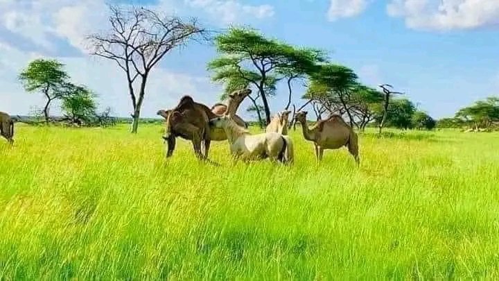Doxooyinkii Nugaaleed iyo Xudun oo barwaaqo ah😍😍😍😍