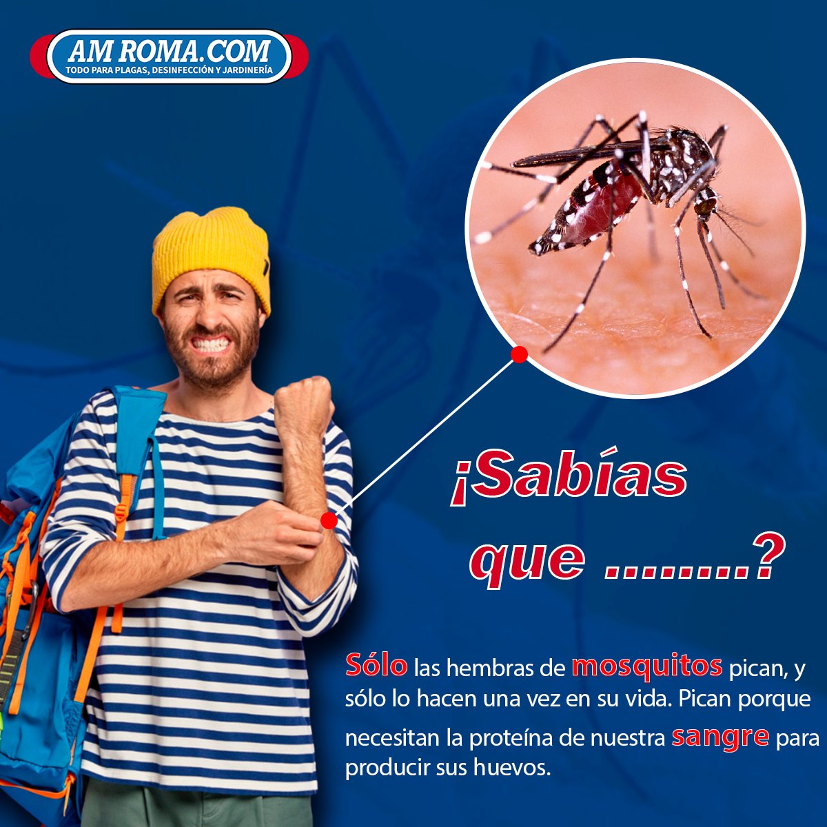 amroma_com's tweet photo. 📢Hay más de 3,000 especies de mosquitos que pueden encontrarse en prácticamente
cualquier parte del mundo. Los mosquitos macho como los hembras se alimentan de néctar y savia.

#mosquitos #amroma #controldeplagas #plagas https://t.co/9mbaC1NHX5
