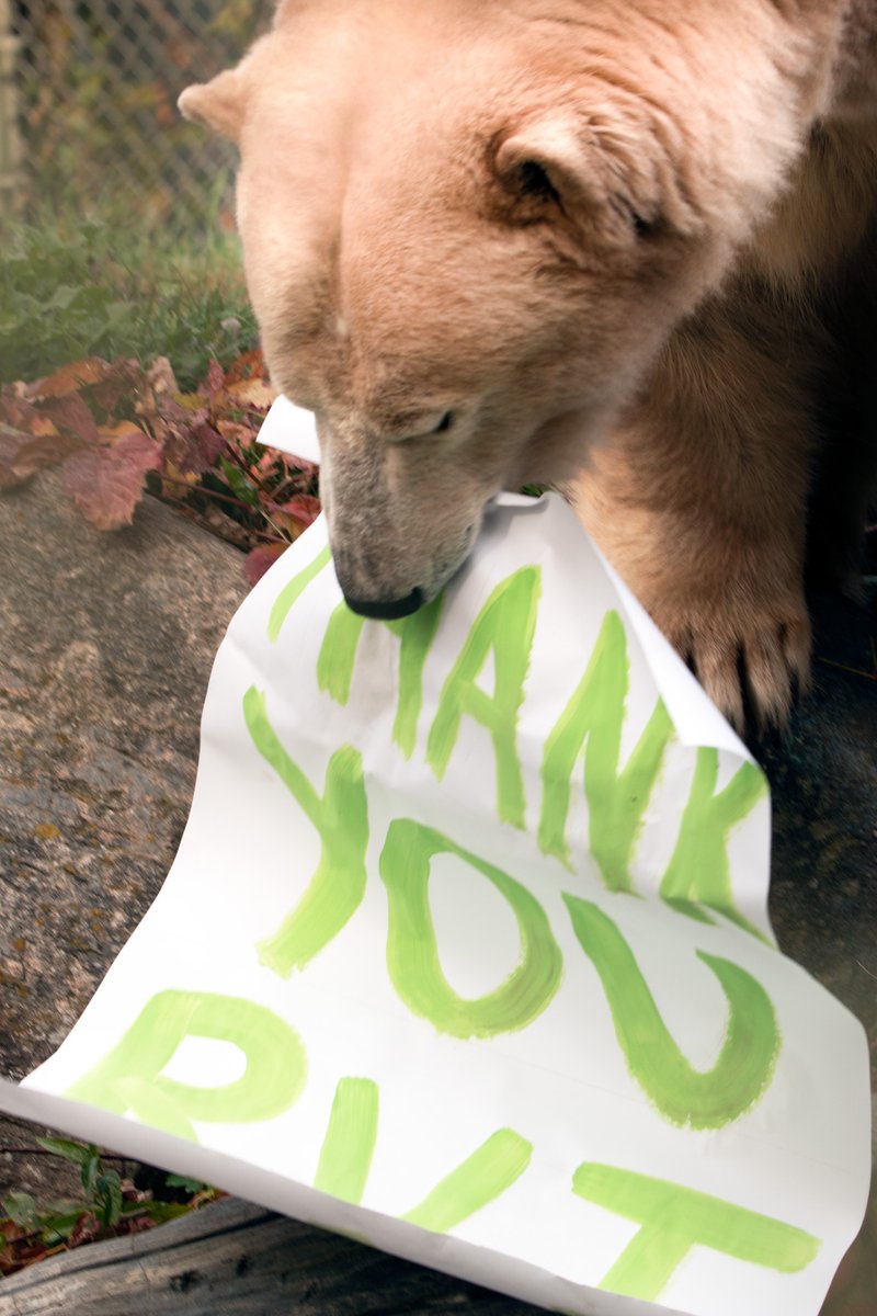 The Toronto Zoo on Twitter: