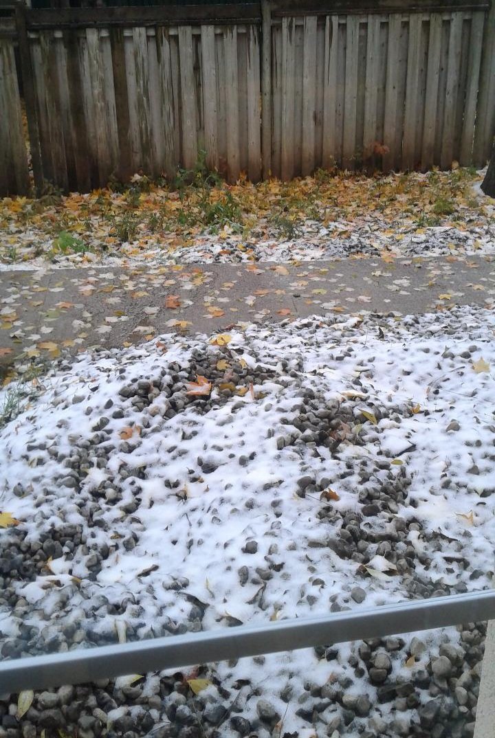 ScissorDesigns's tweet photo. Hard to believe this is the view out the window this morning. How are you feeling about the snow #Barrie woke up to this morning?
#letusknow #whatdoyouthink #Canada #Ontario #hairstylist #hairsalon #winteriscoming #itstoearly #Snowfall #thursdaymorning https://t.co/ddBsZjfkj8