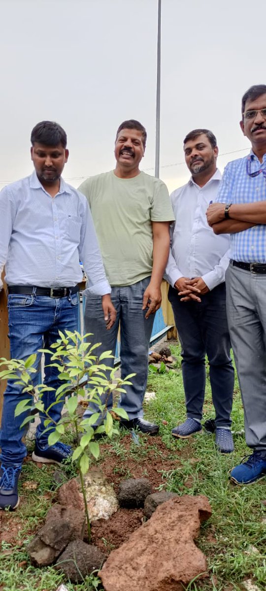 Sir , Namste  a Gopal verma &amp; Pintu Detwal both Dy.cti Rtm , ne alag alag jagah per  apne saathi Tte ko  saath  leker Tte rest house ke paas "Kapoor " plant lagaye h ji... jaise Indore , Mhow , Ujjain , Rtm , Bpl , Jp , Udaipur Bina etc...