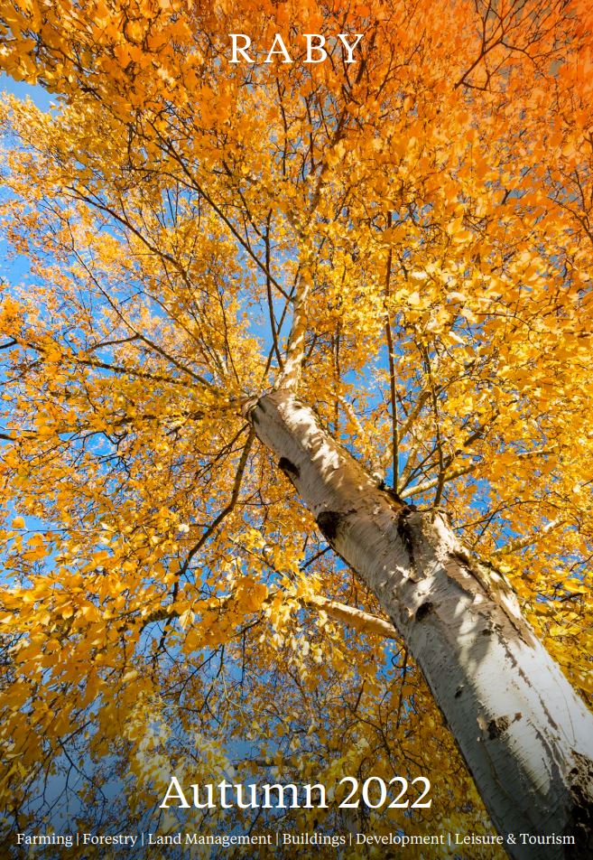 Raby County Durham tweet media