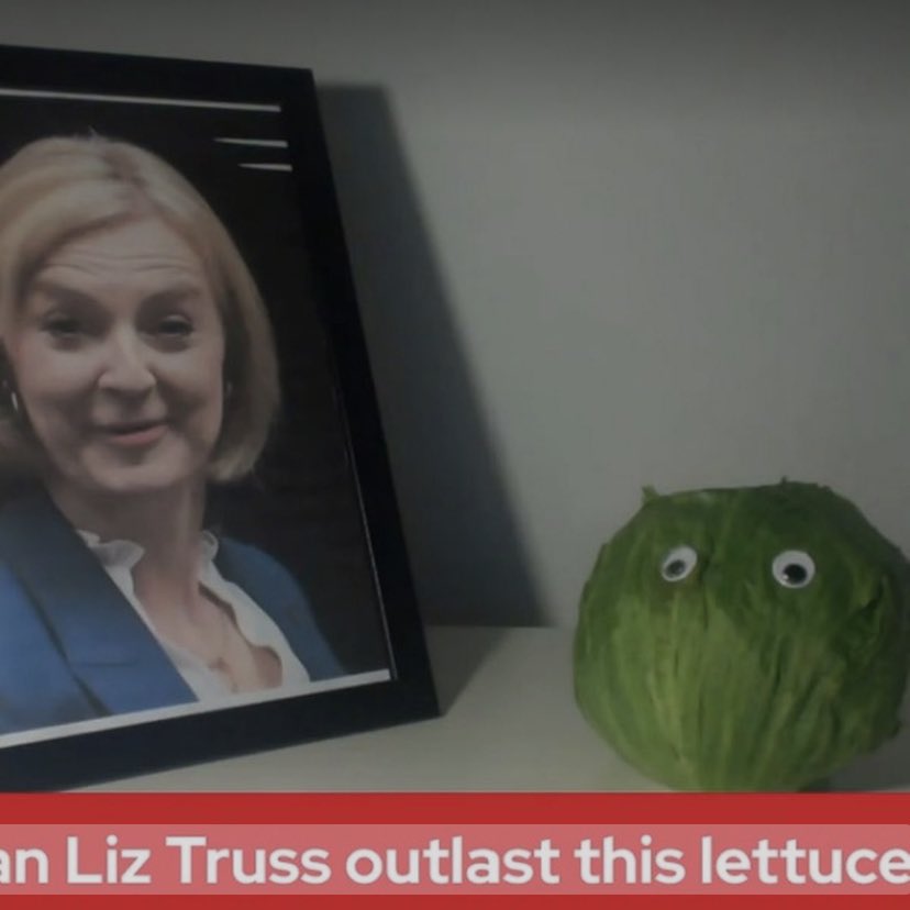 …aaaaand the lettuce wins! All hail our new prime minister 🎊🥬👑🎊
#LizTrussPM #lettuce