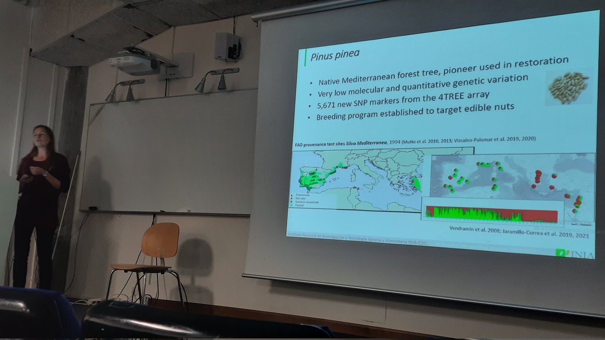 Beatriz García-Jiménez tweet media