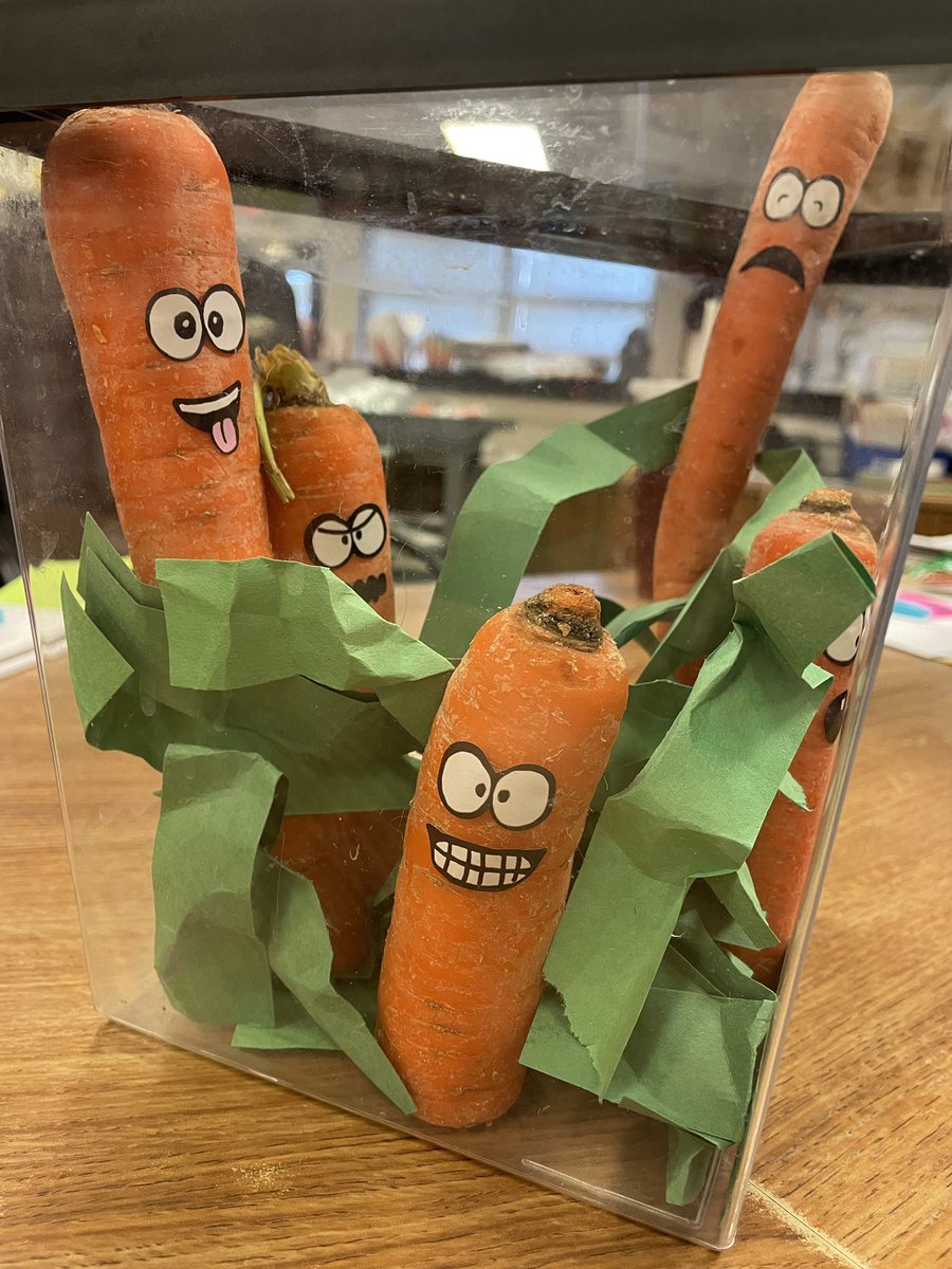 WallarooLibrary's tweet photo. I think I’m pretty funny! New use for @imnotascribble stickers! @IrvingLibraries @lmr0050 @MGomez2k2 @KathyGYoung https://t.co/pvF1crfQCq