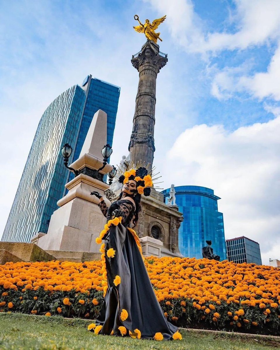 México se ve más hermoso cubierto de cempasúchil 🧡 📸 @yuriretratos Model @blanchbernal