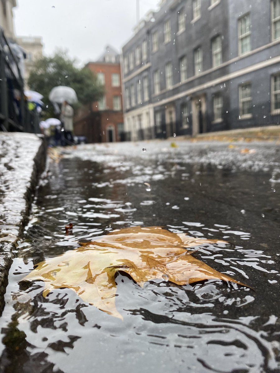 cameramikes's tweet photo. Liz Truss ‘leafs’ Downing St as the shortest serving PM in British history. @10DowningStreet  #TrussOut #LizTrussPM #GeneralElection2022 #ToryShambles #LizTruss #conservativeleadership https://t.co/PGvfANyDc3