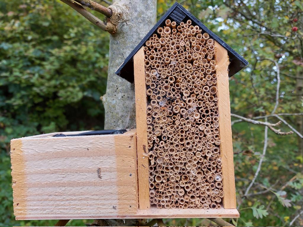 donnarainey4's tweet image. I just cycled past a new build house that used to have an amazing old native #hedgerow It has been replaced with a wooden ranch fence &amp;amp; they have attached an insect hotel similar to this. The disconnect is huge. #BiodiversityCrisis #hedgerows