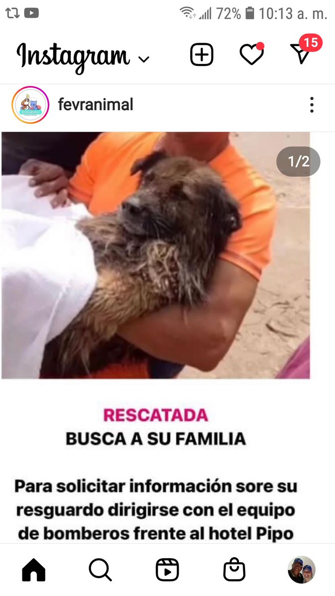 manto1967's tweet photo. ATENCION YA ESTA CON SU FAMILIA 🤗 https://t.co/5zwNRjRzME