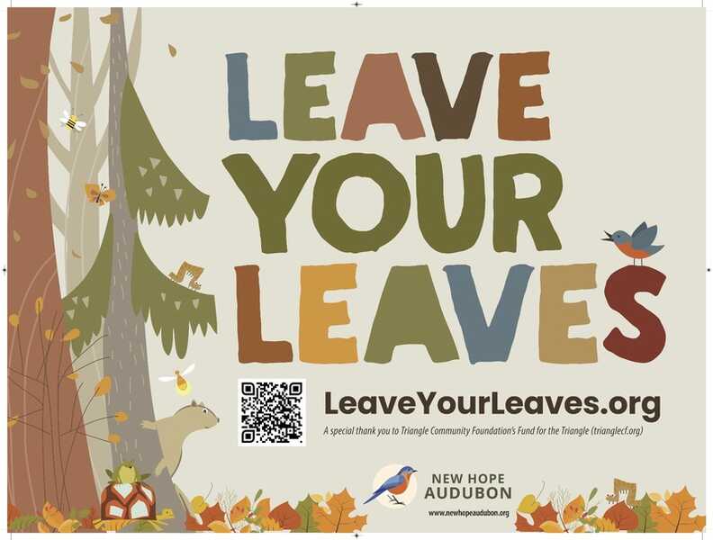 Today at noon! Learn how you can help birds and improve the ecosystem in your yard by leaving the leaves this fall. 

This special Native Plants Week webinar is hosted by <a href="/NewHope_Audubon/">New Hope Audubon Society</a>. act.audubon.org/a/leave-leaves…