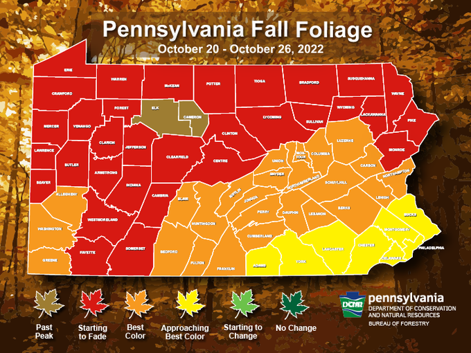 Map showing most of northern tier and laurel highlands starting to fade. Central Pennsylvania and southwest corner will be at best color this week. The southeast is approaching best color.