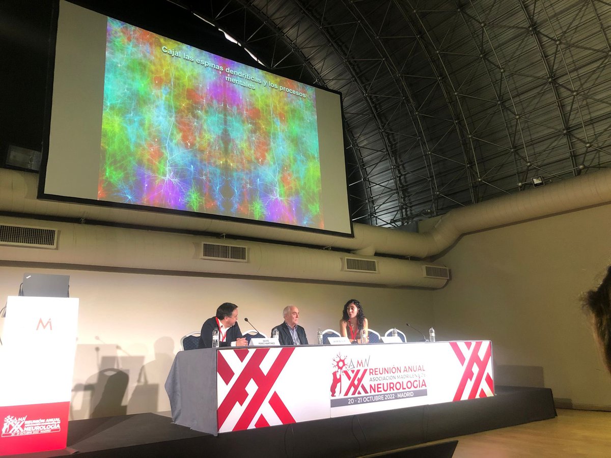 AMNneuromadrid's tweet photo. El ambiente y los estímulos cambian el desarrollo cerebral 🧠, el aspecto de nuestras neuronas #JavierdeFelipe #20AMN https://t.co/YWz1bsOdNh