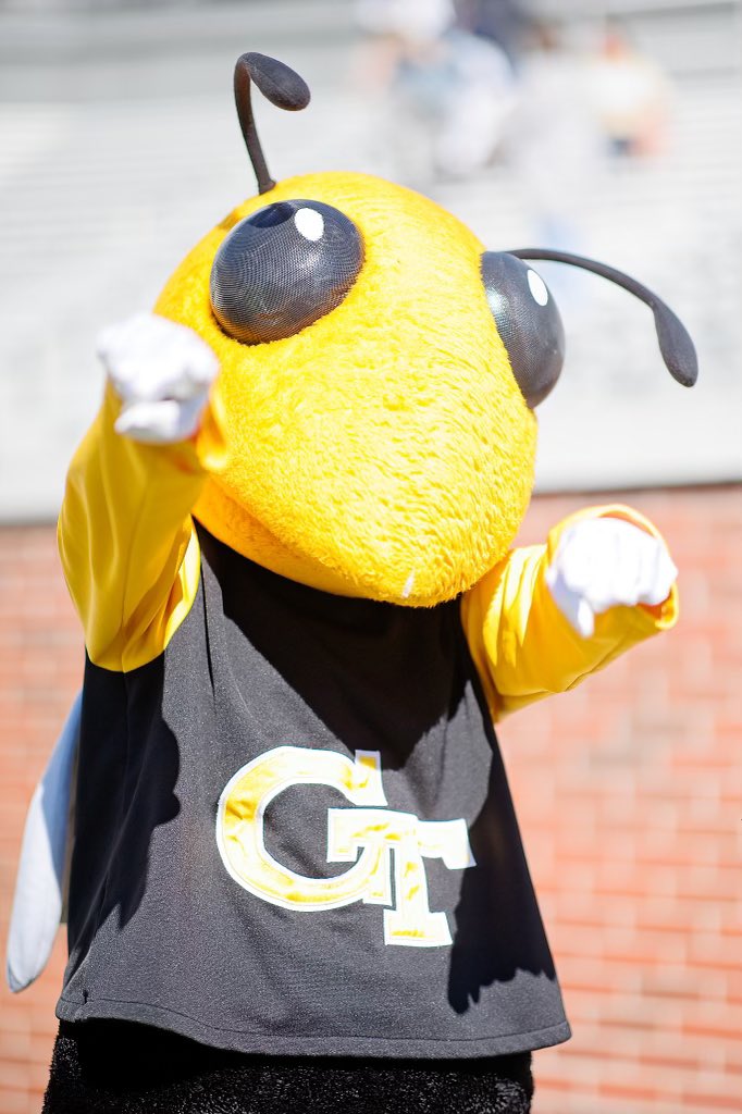 Buzz Gatech Mascot