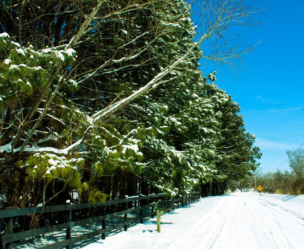 ThruTheShutter1's tweet photo. Really missing these snow days. #Snow #conwayAr #NaturePhotography #NatureBeauty #beautiful #thursdaymorning #ripricoswavey https://t.co/T3TVr10r96