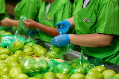 FreshPlaza_es's tweet photo. Se espera un incremento de los volúmenes importados de chayote en el futuro próximo @expgroupllc
https://t.co/5HgOzwi5mM https://t.co/txps2bkxHW