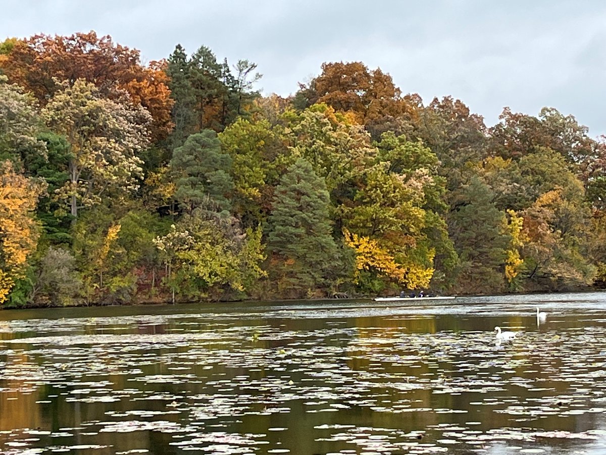 Alumkal Lab (@alumkaljoshi) on Twitter photo We're recruiting an Assistant Prof to join our GU Med Onc Team <a href="/UMRogelCancer/">U-M Rogel Cancer Center</a>! Clinical trials focus is preferred. <a href="/UMich/">University of Michigan</a> is highly collaborative with many GU team science initiatives & multi-D care. Apply: medicine.umich.edu/dept/intmed/di… or email me. Please RT! <a href="/PCF_Science/">PCF Science</a> <a href="/ThePCCTC/">The PCCTC</a> We're recruiting an Assistant Prof to join our GU Med Onc Team <a href="/UMRogelCancer/">U-M Rogel Cancer Center</a>! Clinical trials focus is preferred. <a href="/UMich/">University of Michigan</a> is highly collaborative with many GU team science initiatives & multi-D care. Apply: medicine.umich.edu/dept/intmed/di… or email me. Please RT! <a href="/PCF_Science/">PCF Science</a> <a href="/ThePCCTC/">The PCCTC</a>