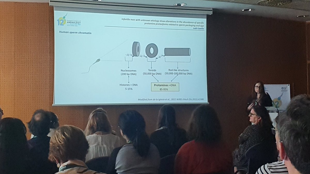 Last talk of the session, with @JuditCaC on the diversity of protamine 2 proteoforms. #ECA2022