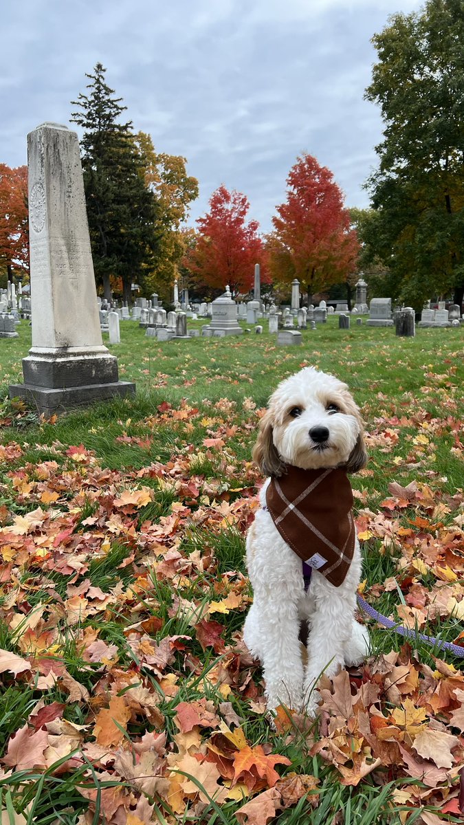 rbarnes08's tweet photo. @anamariecox https://t.co/3sAFFXry49