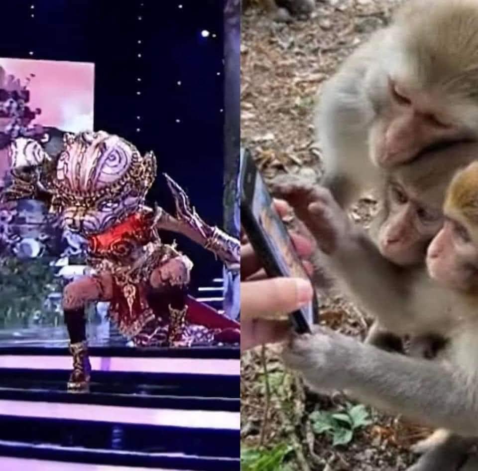 Engfa Waraha (ตัวจริง) tweet media