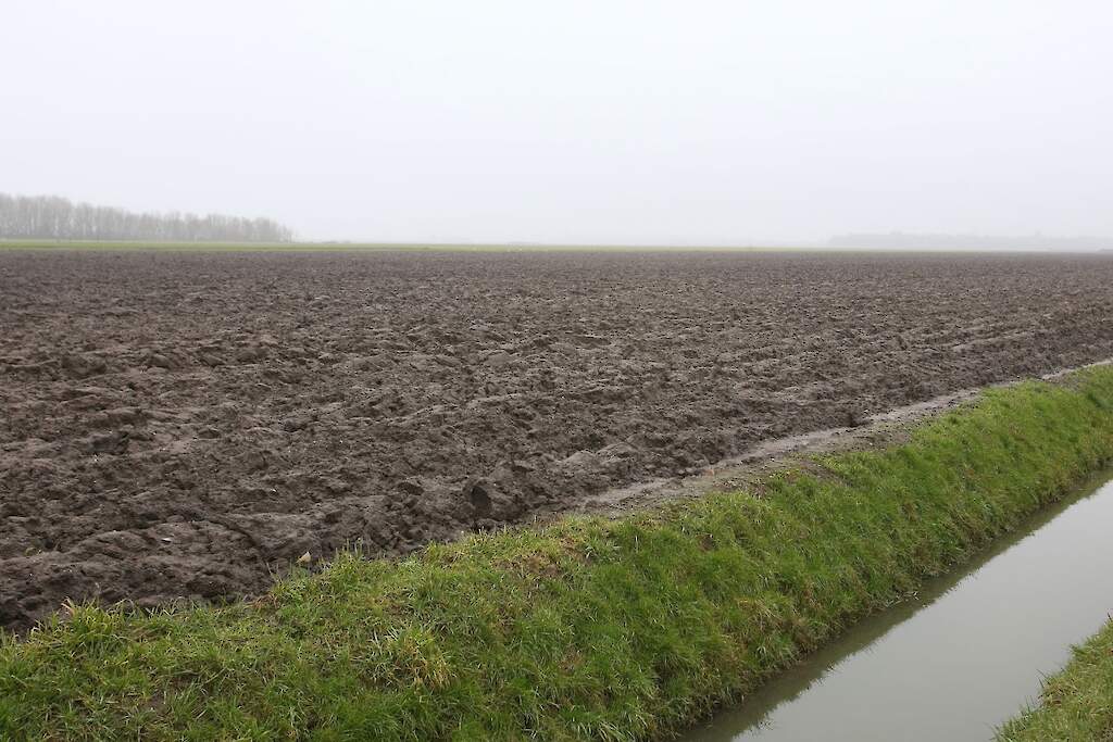 Geen uitzondering voor vergrote bufferstroken bij goede waterkwaliteit | Akkerwijzer.nl akkerwijzer.nl/artikel/569886…