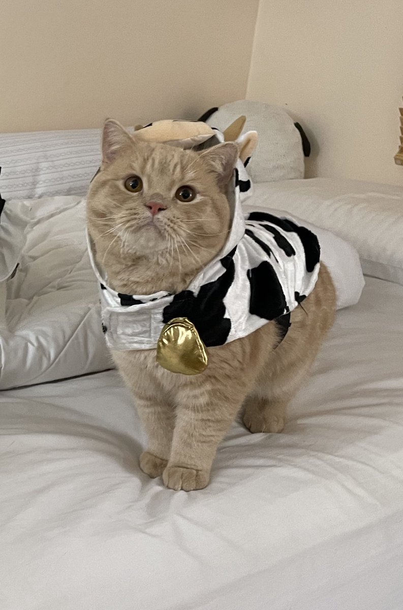 คุณแรมโบ้