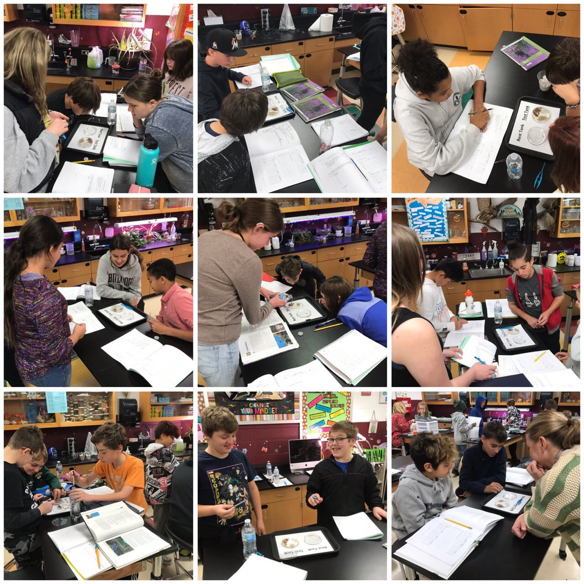 poetzelsci's tweet photo. Discovering habitat choices for black worms. #ecology #fallspride https://t.co/uGQGggNQtZ