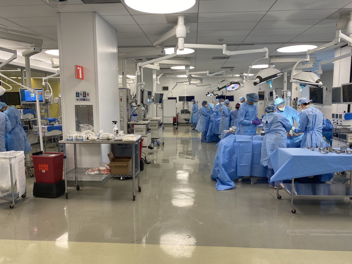 Only open Aortic course in US at Houston Methodist.   Continuing the DEBAKEY legacy