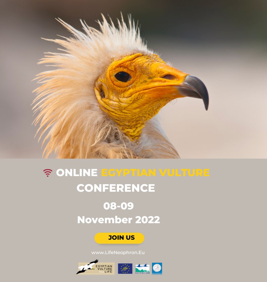 Plenty of time to sign up to our upcoming online, totally free conference 8-9 November here: bit.ly/3SVIYCs 

🌍World-leading scientists.
Talks, workshops, live Q&A. 
Vultures. 
Awesome.👍

#vultures #conservation @LIFEprogramme #LIFEprogramme #LIFEproject #LIFEis30