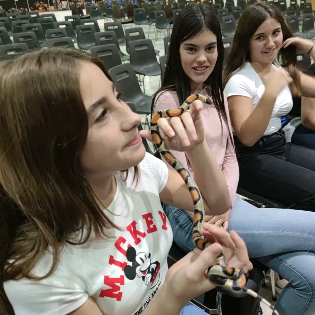Ins_IAMF's tweet photo. Un any més, l'alumnat de 1r d'ESO ha assistit a un Taller d'animals exòtics que té com a finalitat concienciar-los sobre la necessitat de protegir les espècies i quins animals no són animals de companyia. https://t.co/xsVRBcUur8