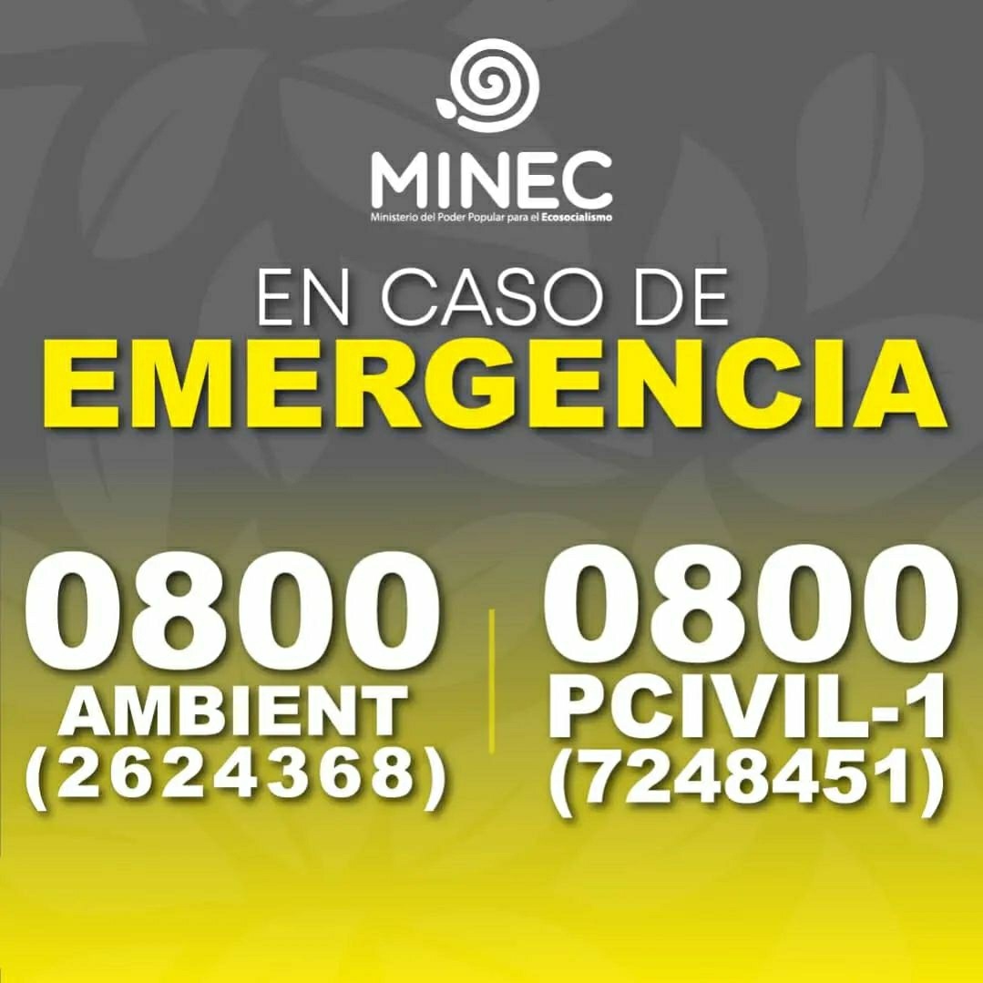 #Atención| Frente a las fuertes lluvias que afectan al país, ponemos a disposición de todos los ciudadanos los números de contacto y emergencia, a los cuales podrán hacer las denuncias de víctimas, desastres y circunstancias de alto riesgo. 

#PuebloUnidoYActivo