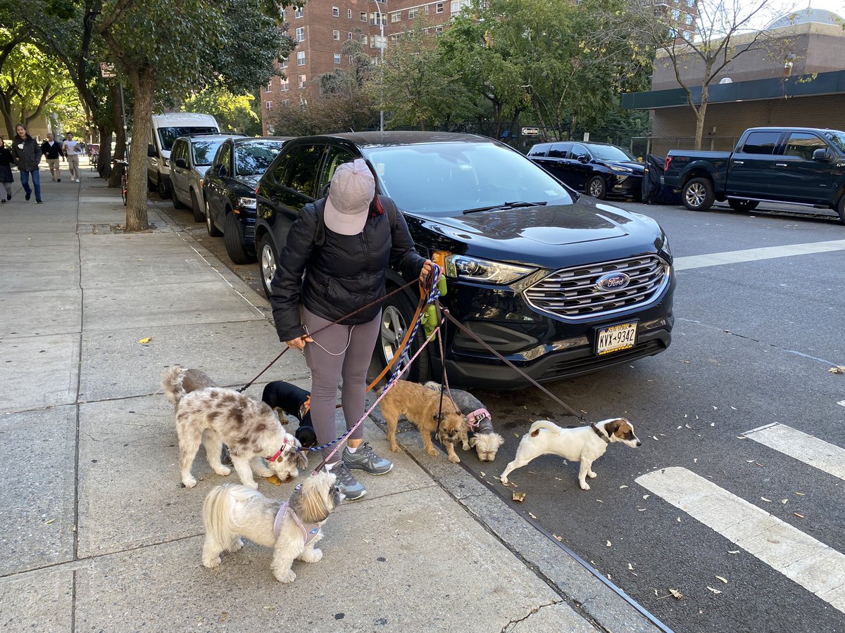 “They make me laugh, they make me smile they make me angry, - all in one walk,” says Norma, a Chelsea dog walker for the past 15 years, who made me smile as I biked past. “In the winter time they come alive.”