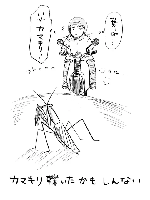 寝る前のどうでもいい報告 