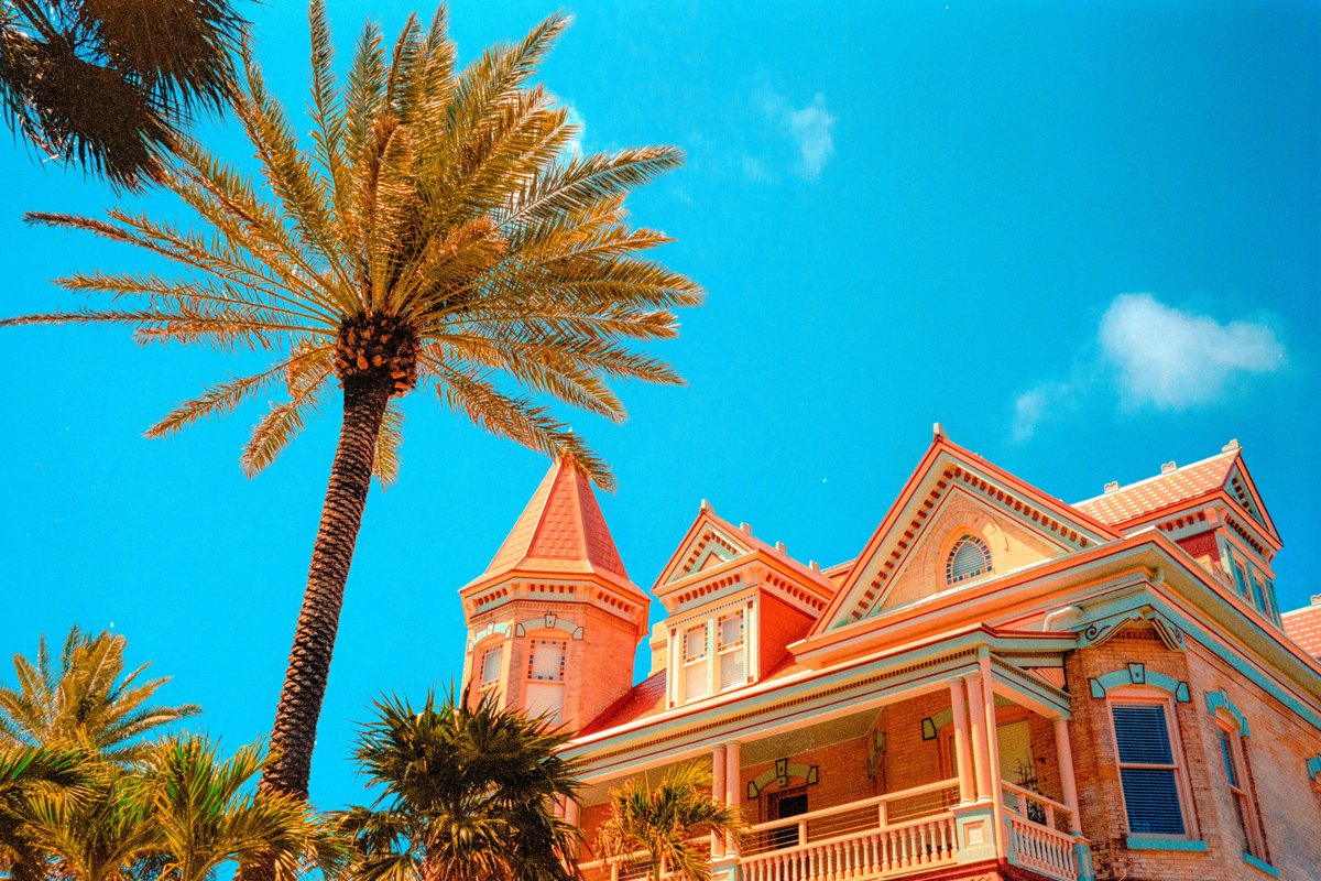 kyler_steele's tweet image. The Leica M6.