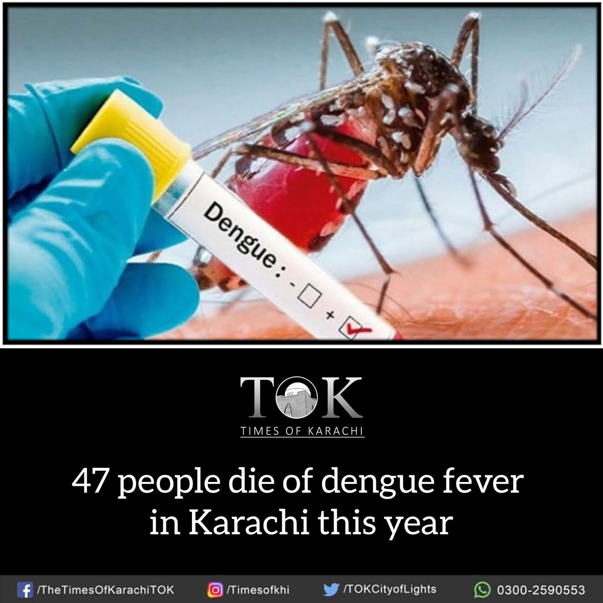 ALERT: The Vector-Borne Diseases (VBD) Department of Directorate General Health Services Sindh confirmed that the #Dengue viral fever has claimed one more life in Karachi's district East, taking the death toll from this mosquito-borne disease to 47 in #Karachi this year so far.