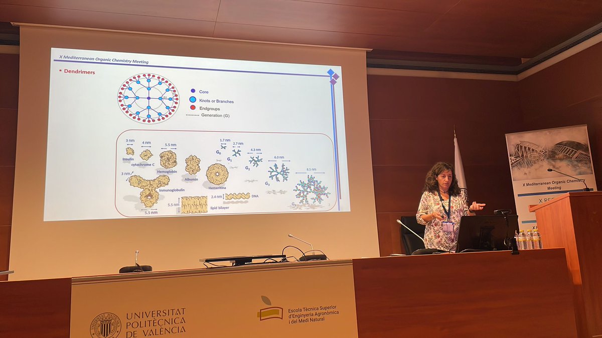 XReqomed's tweet photo. Second day at @XReqomed! Enjoying with the talks of  Yolanda Vida (UMA), Miguel Ángel González (UPV-CSIC), Bartomeu Soberats (UIB, @SoberatsC)

@UPV, @FacQuimicaUVEG , @Supramol_UV https://t.co/9nj6jSUE0C
