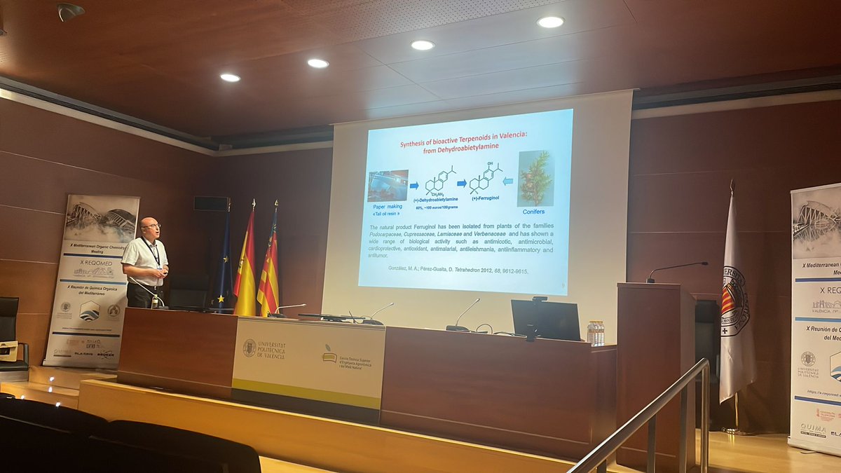 XReqomed's tweet photo. Second day at @XReqomed! Enjoying with the talks of  Yolanda Vida (UMA), Miguel Ángel González (UPV-CSIC), Bartomeu Soberats (UIB, @SoberatsC)

@UPV, @FacQuimicaUVEG , @Supramol_UV https://t.co/9nj6jSUE0C