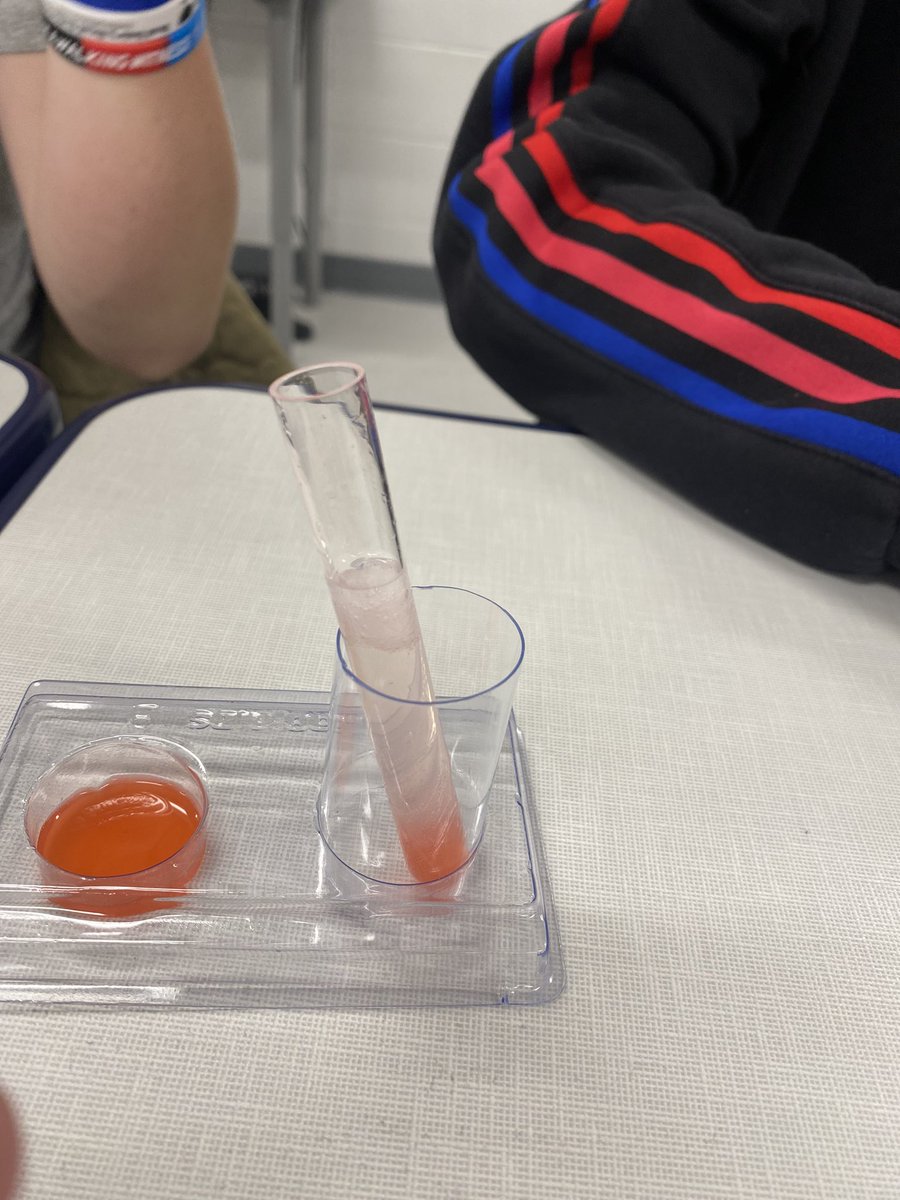 MrsGs_Classroom's tweet photo. 1st block Honors Agriscience extracting DNA from strawberries today using physical and chemical separation! #caseafnr @SumnerCountyCTE @LCHSWolves https://t.co/nhd3Z84VHJ
